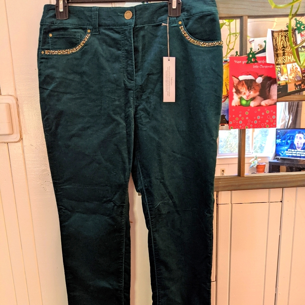 Chicos velvet jeggings